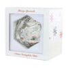 Sirius Dice Snowglobe D20 (54MM)
